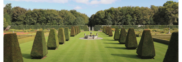 Image showing Pitmedden Garden