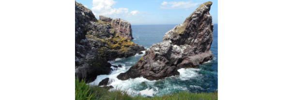 Image showing St Abb's Head - National Nature Reserve