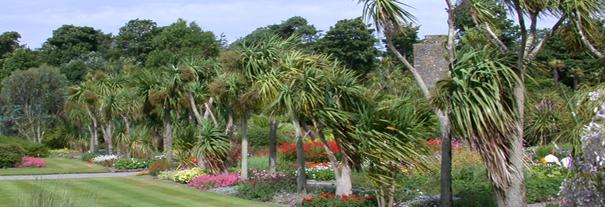 Image showing Logan Botanic Garden
