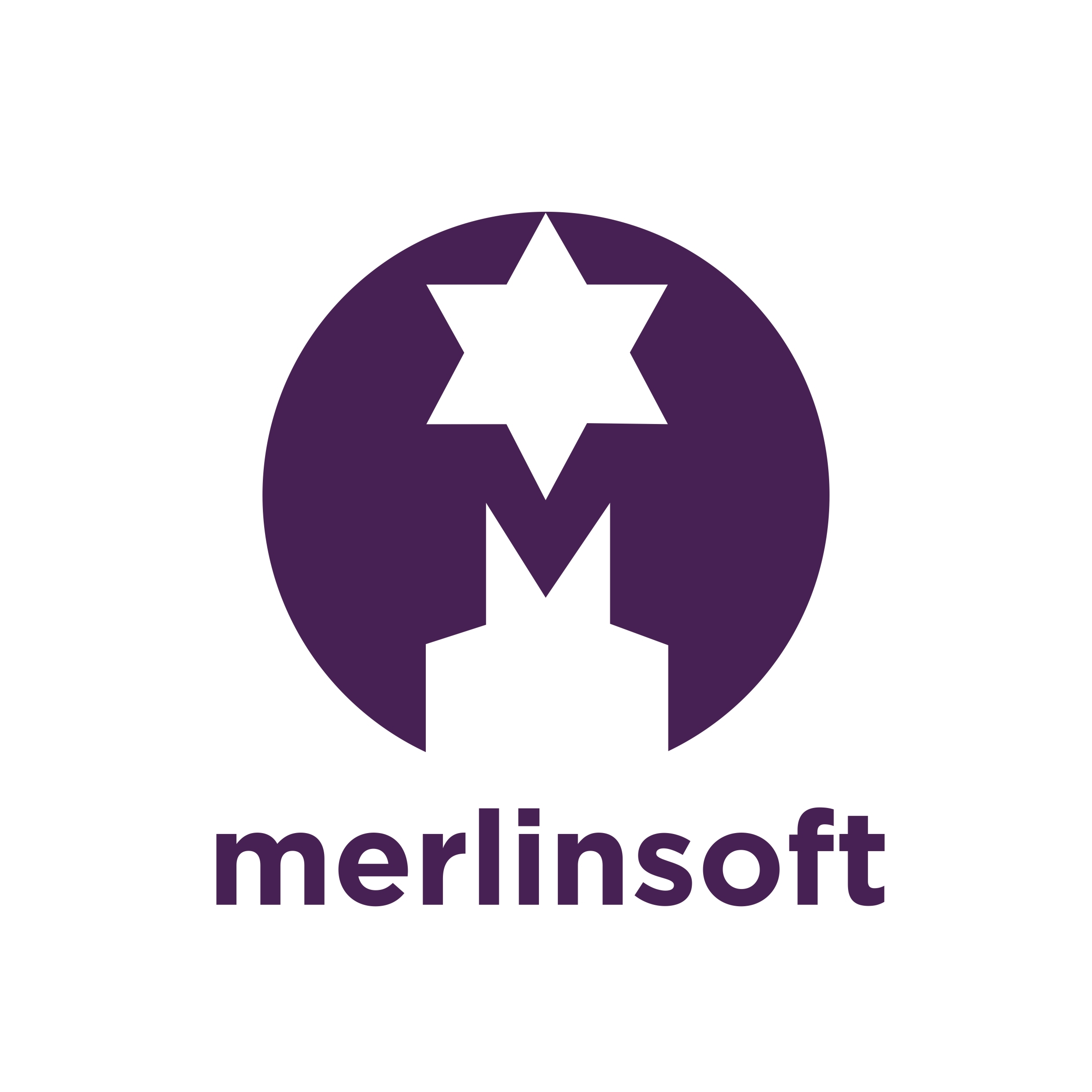 Image showing Merlinsoft Ltd