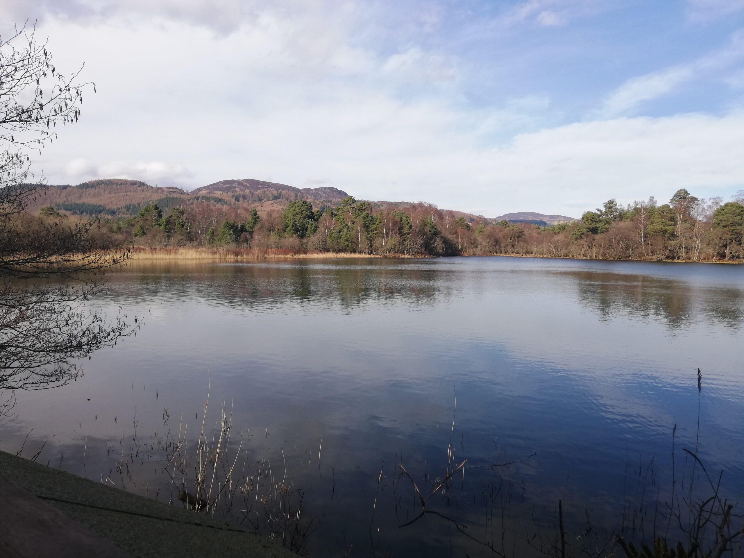 Image showing Loch of the Lowes Visitor Centre and Wildlife Reserve