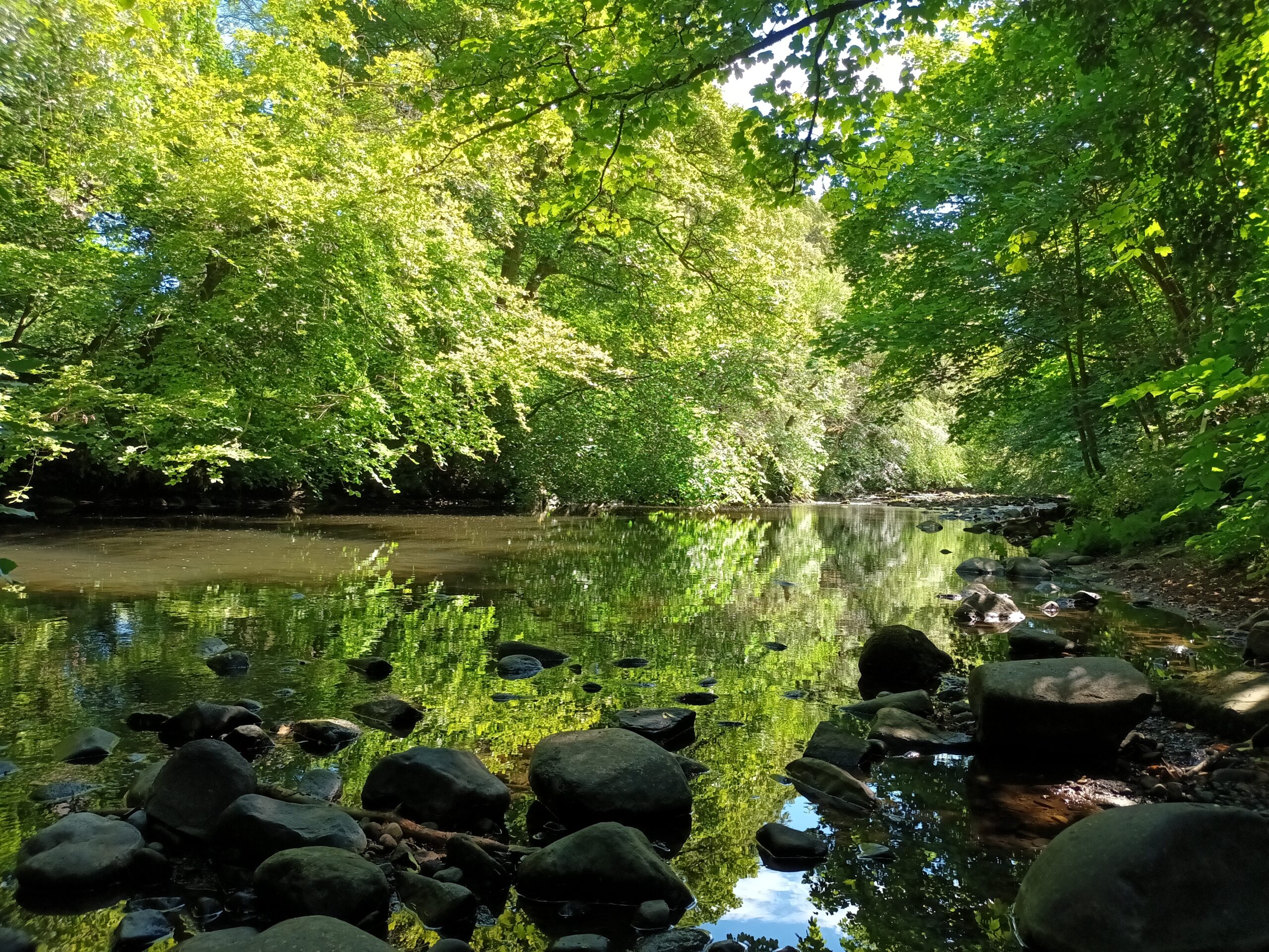 Image showing Muiravonside Country Park